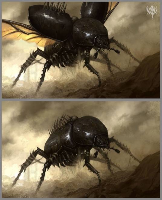 尸鳖
