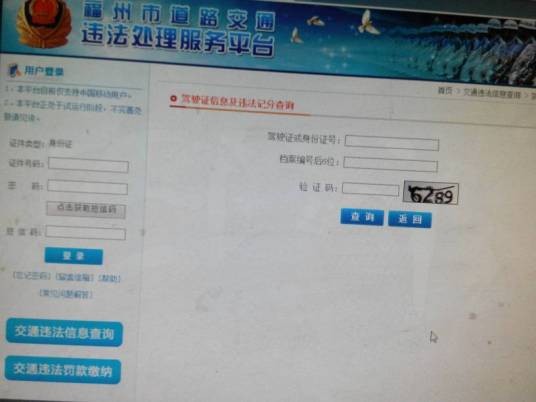 驾照查询
