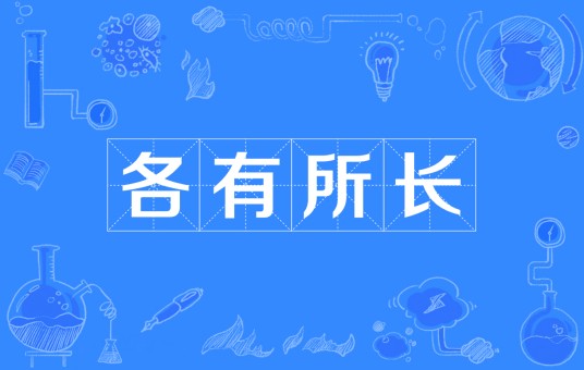 各有所长