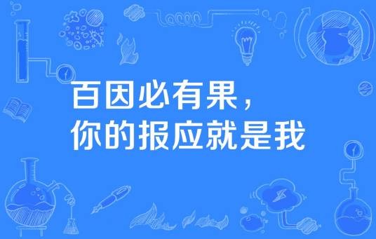百因必有果，你的报应就是我