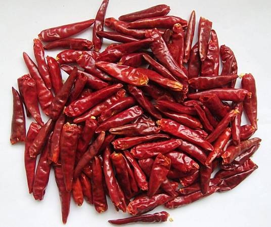 干辣椒（脱水后的辣椒制品）
