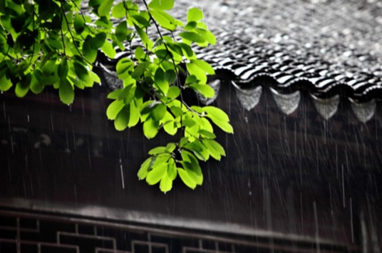 梅雨季节（自然气候现象）