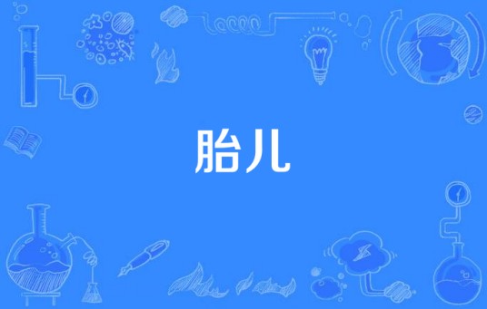 胎儿（生物学概念）