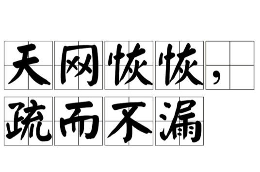 天网恢恢，疏而不漏