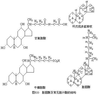 固醇