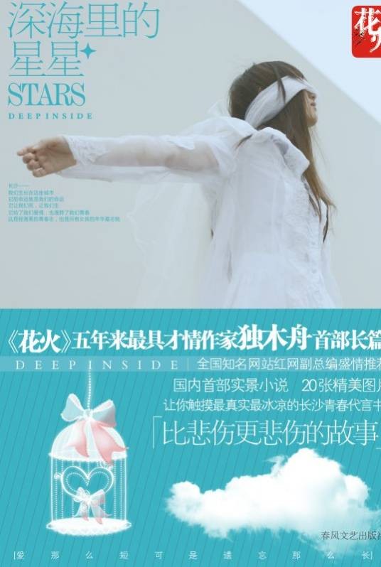 深海里的星星(2009年春风文艺出版社出版的图书)
