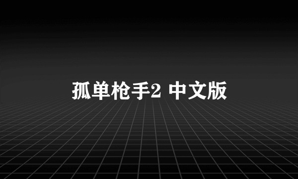 孤单枪手2 中文版