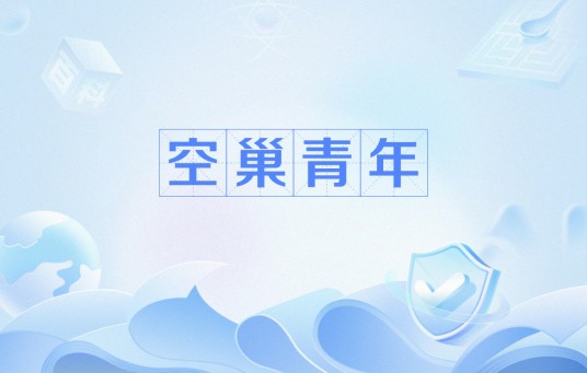 空巢青年（网络流行语）