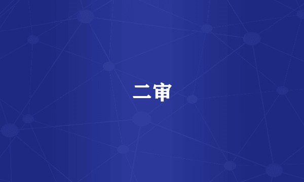 二审