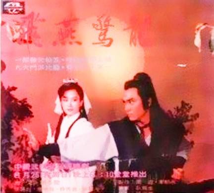 飞燕惊龙（1985年周游执导电视剧）