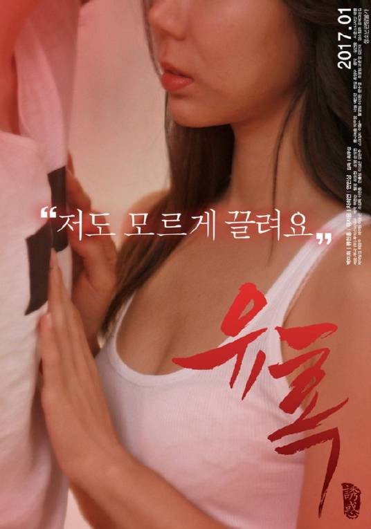 诱惑(2017年韩国情色电影)