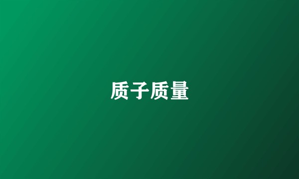 质子质量