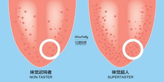 味觉