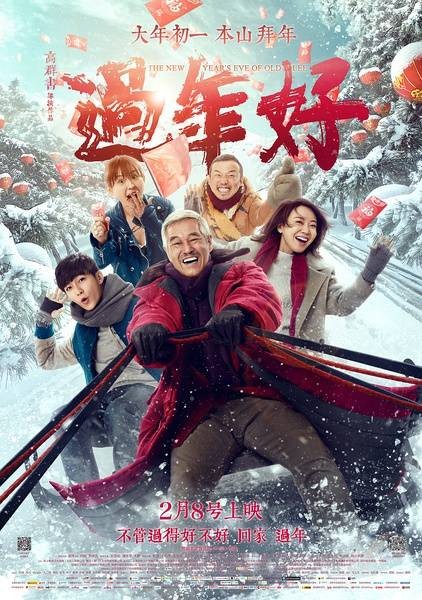 过年好（2016年高群书执导的电影）
