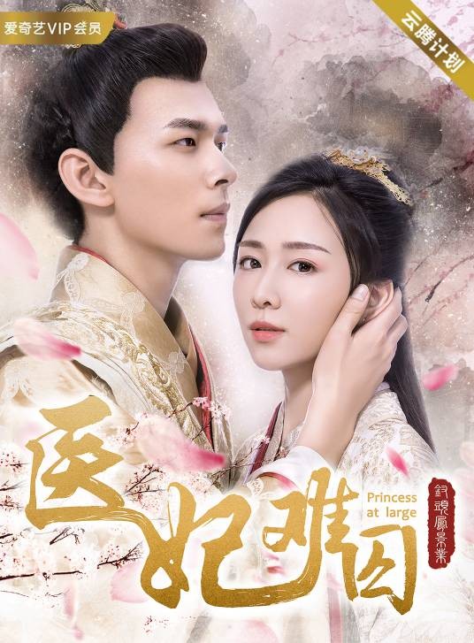 医妃难囚（2018年探花执导爱情古装网剧）