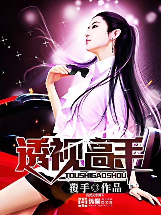 透视高手(覆手创作的都市类网络小说)