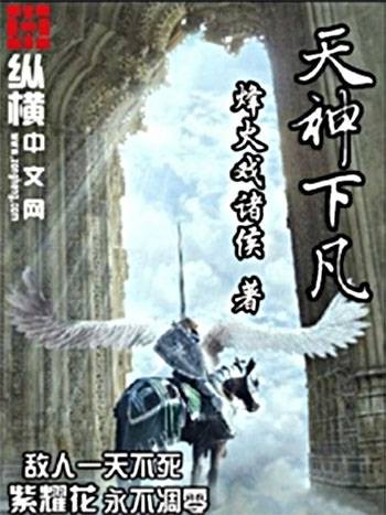 天神下凡(烽火戏诸侯的网络小说)