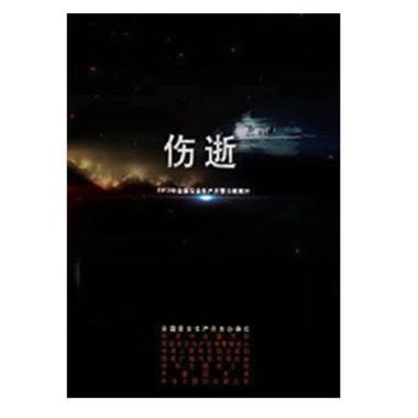 伤逝——2013年全国安全生产月警示教育片