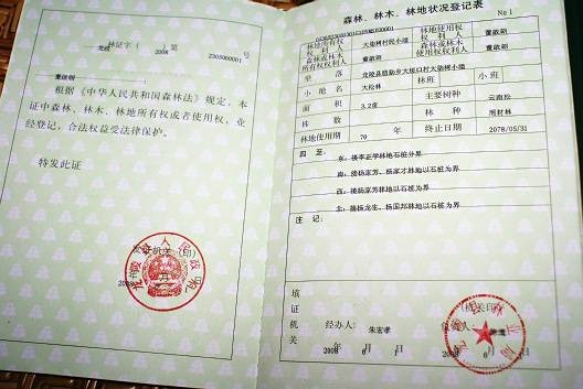 林权证