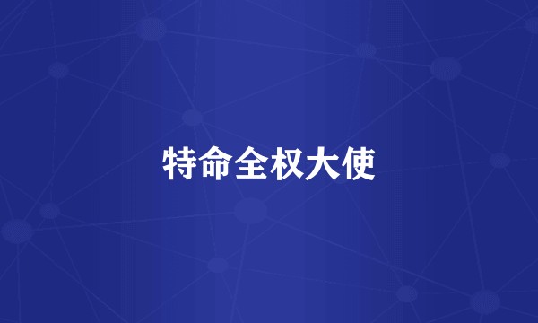 特命全权大使