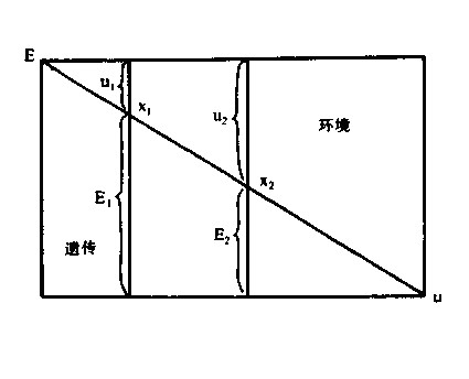 决定论