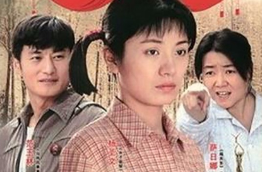 女工(2008年张辉力执导的剧情片)