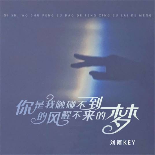 你是我触碰不到的风醒不来的梦