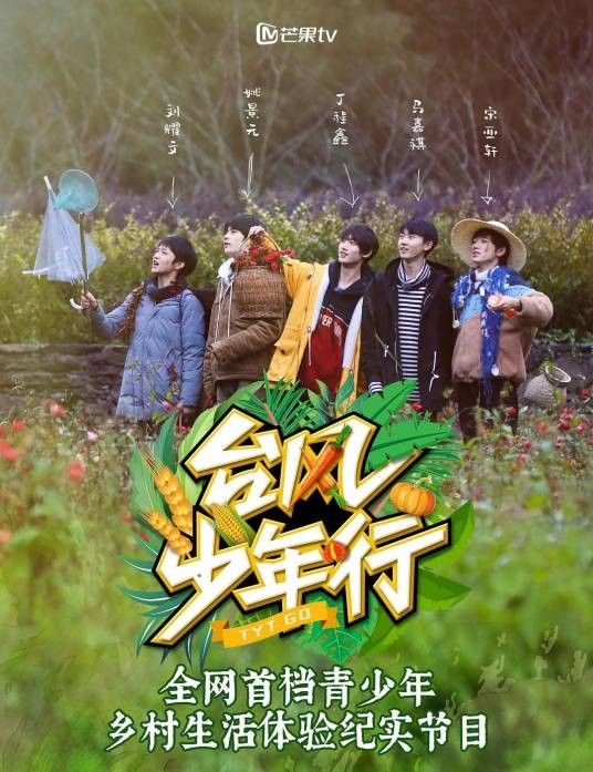 台风少年行