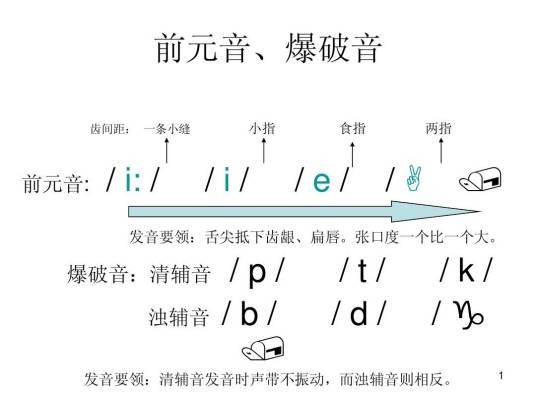 爆破音（发音器官在口腔中形成阻碍，然后气流冲破阻碍而发出的音）