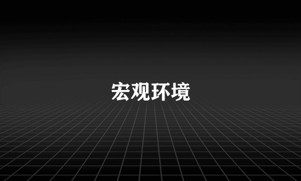 宏观环境