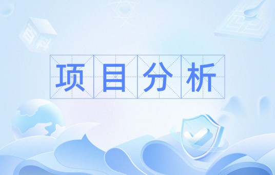 项目分析