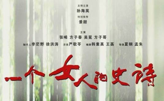 一个女人的史诗(2009年刘烨主演电视剧)