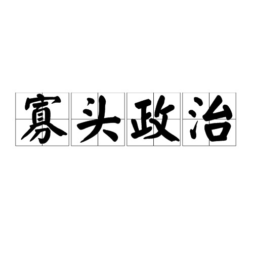 寡头政治（政治学术语）