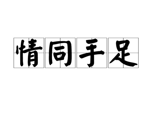 情同手足（汉语词汇）