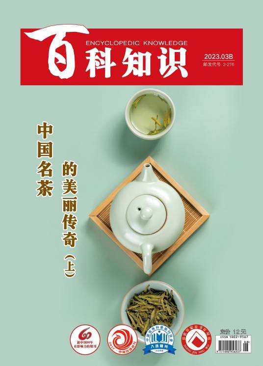百科知识