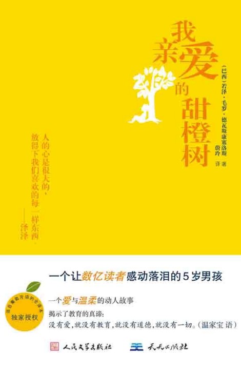 我亲爱的甜橙树(2010年天天出版社出版的图书)