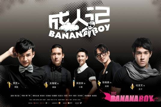 成人记(2012年柳广辉导演电视剧)