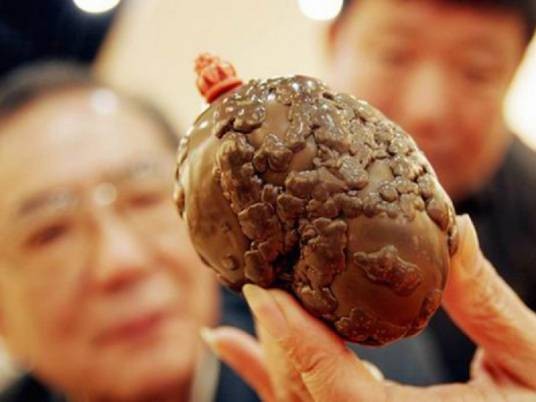 狗宝(生长在狗胃里一种石头样的东西)