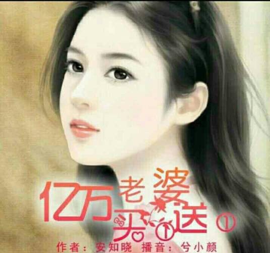 亿万老婆买一送一（2011年武汉出版社出版的图书）