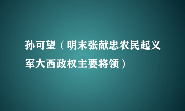孙可望（明末张献忠农民起义军大西政权主要将领）