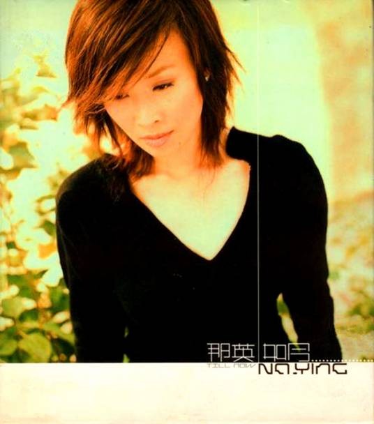 爱上你等于爱上寂寞（2002年那英演唱的歌曲）