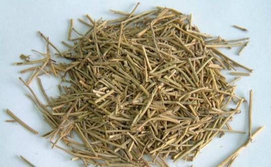麻黄（中药）