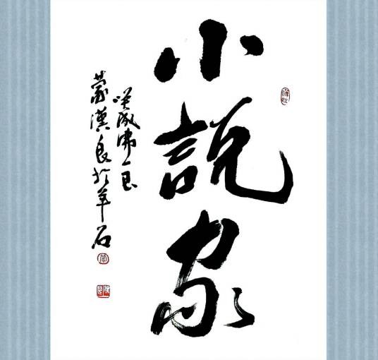 小说家(写小说的作家)