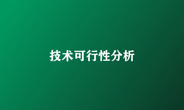 技术可行性分析