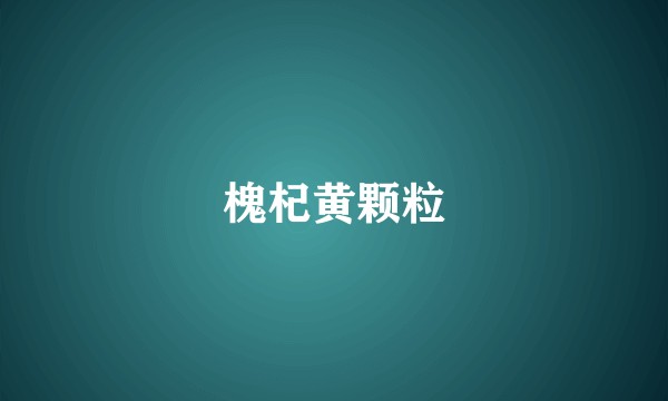 槐杞黄颗粒