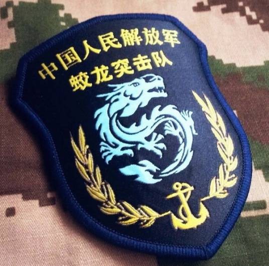 蛟龙突击队