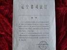 行政诉讼(诉讼术语)