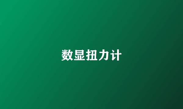 数显扭力计