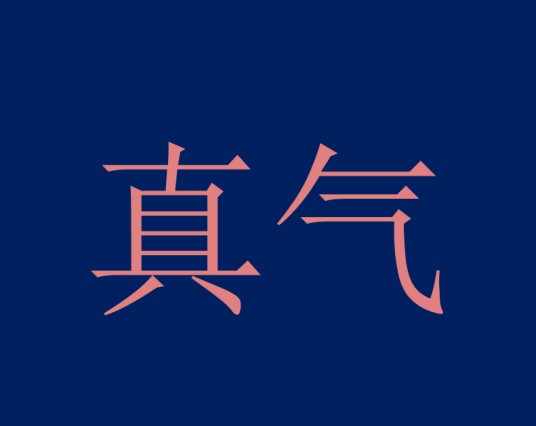 真气（汉语名词）