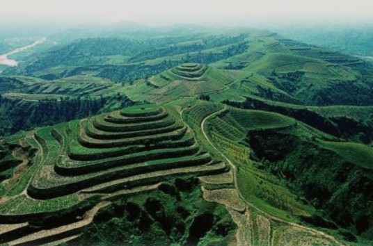 土地面积